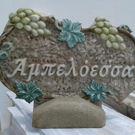 דירות Mési Ampeloessa מראה חיצוני תמונה